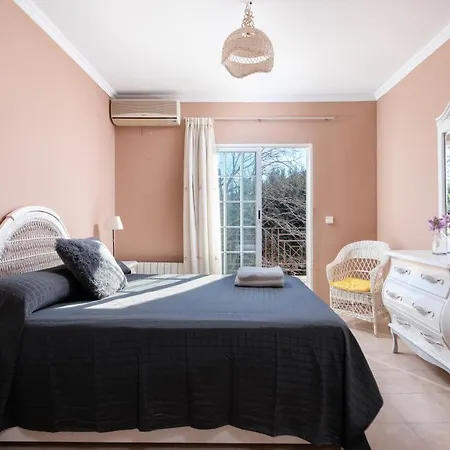 Viky Villa *